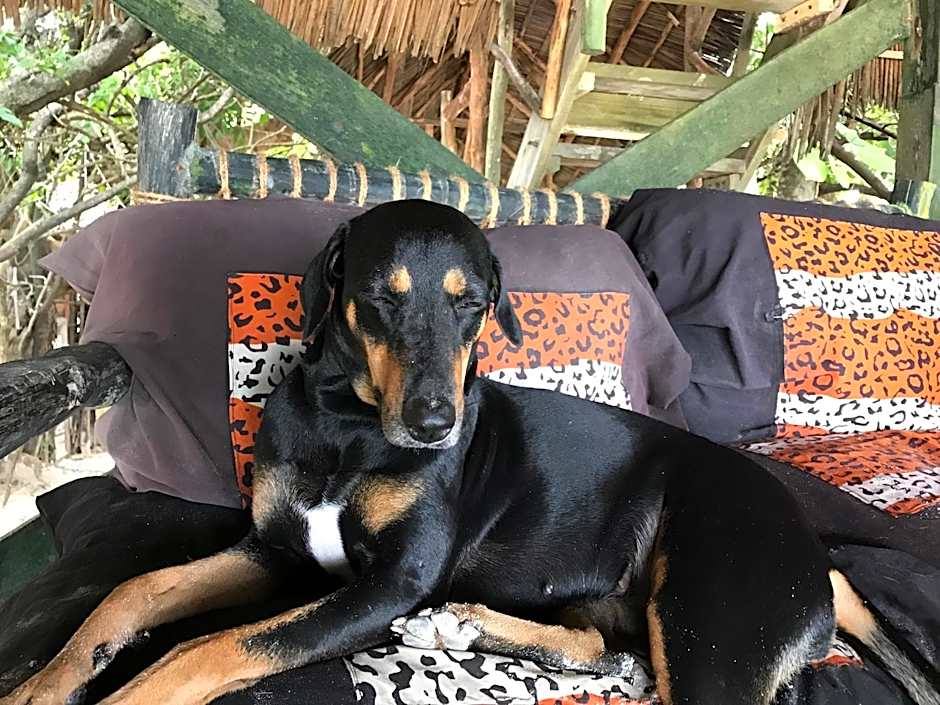 Paradise Beach Bungalows