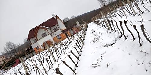 Winery Villa
