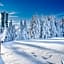 Chalet Sonnenhang Oberhof