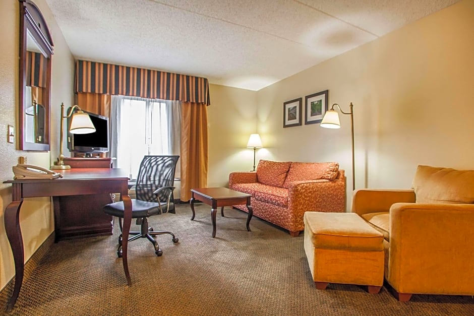 Photo 1 of 10 of 1 King Bed Suite, Accessible