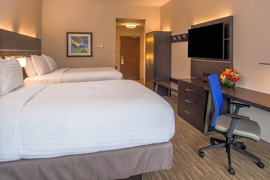 Holiday Inn Express & Suites Tampa North - Wesley Chapel