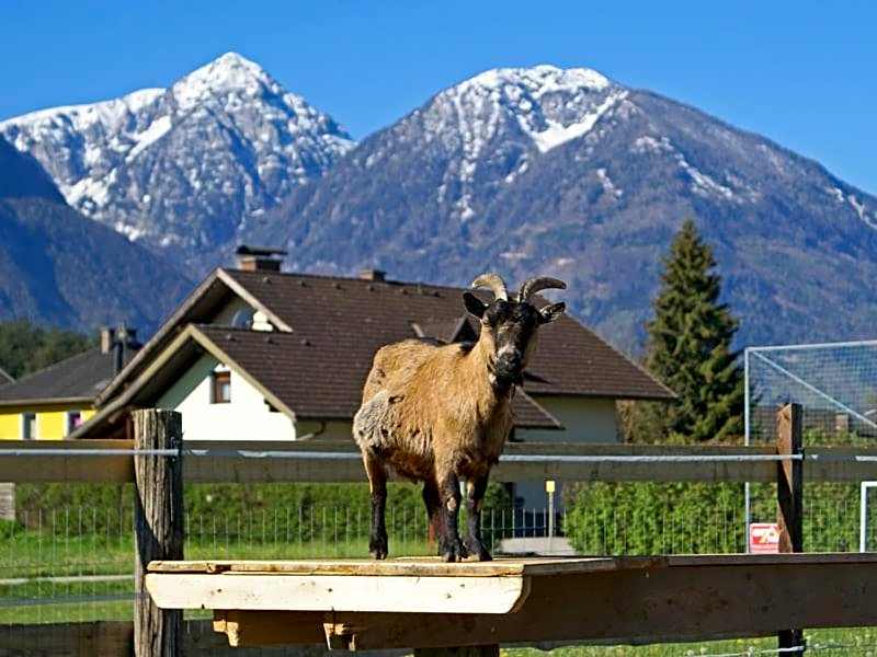 Bed & Breakfast Eckwirt