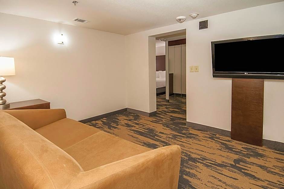 Fairfield Inn & Suites by Marriott Dallas Dfw Airport South/Irving