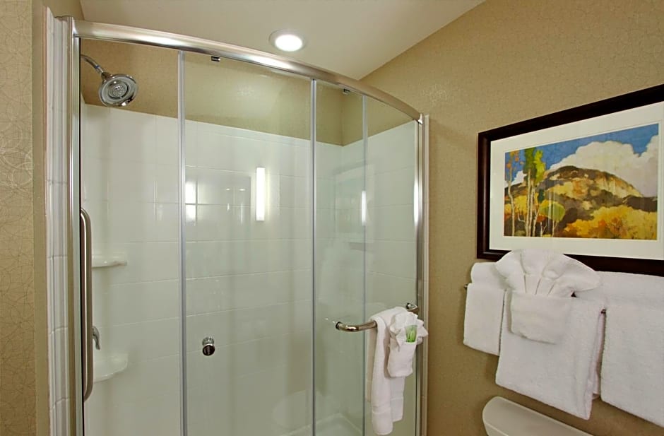 Holiday Inn Express - Colorado Springs - First & Main, an IHG Hotel