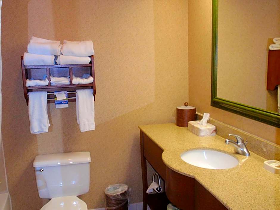 Baymont by Wyndham Lewisville