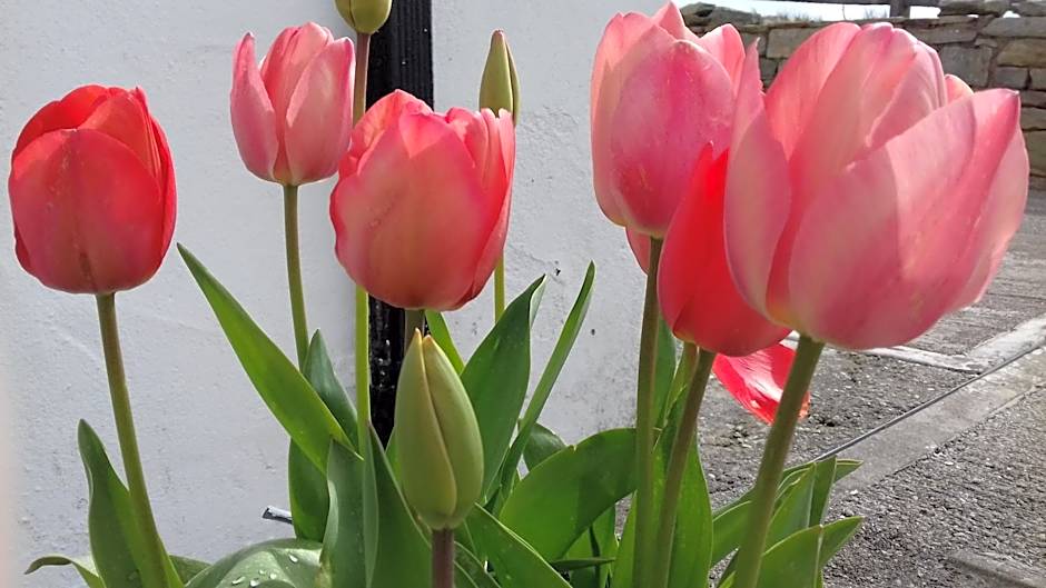 Achill West Coast House