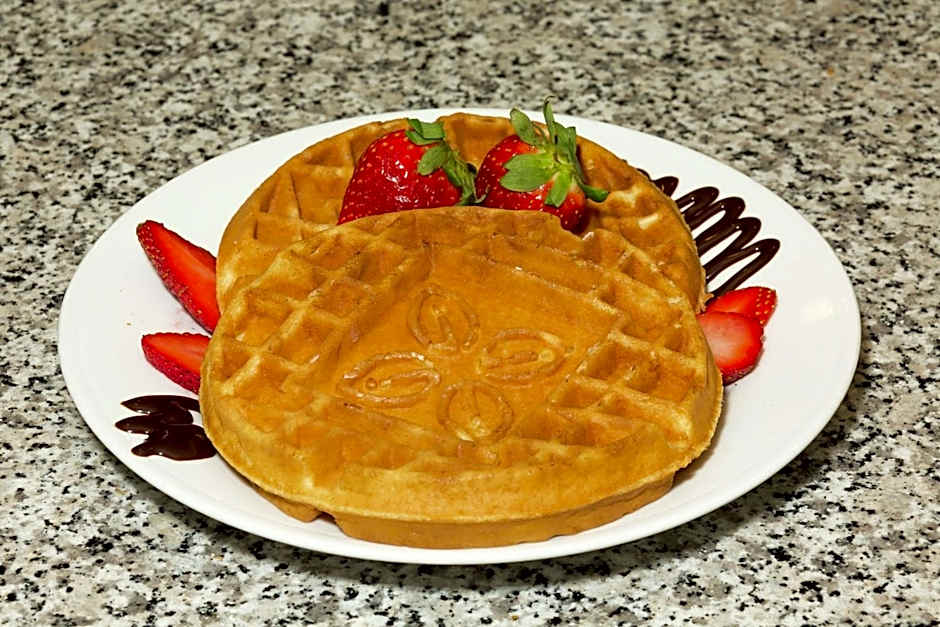 Hilton Garden Inn Jacksonville Airport