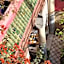 Riad L'Aziza