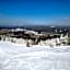 Etoile des Neiges
