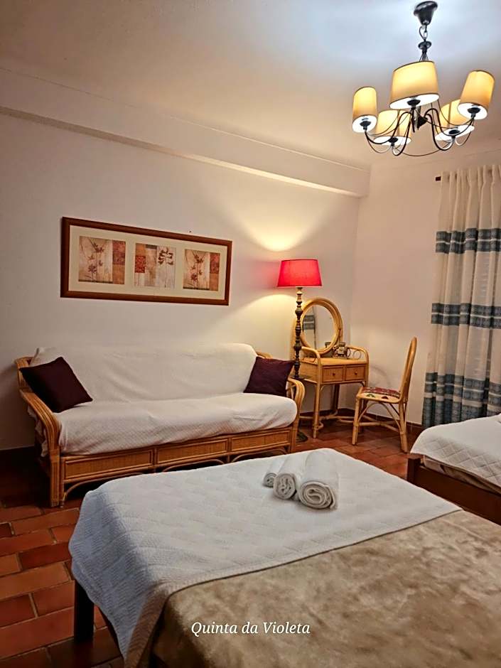 Villa Quinta da Violeta