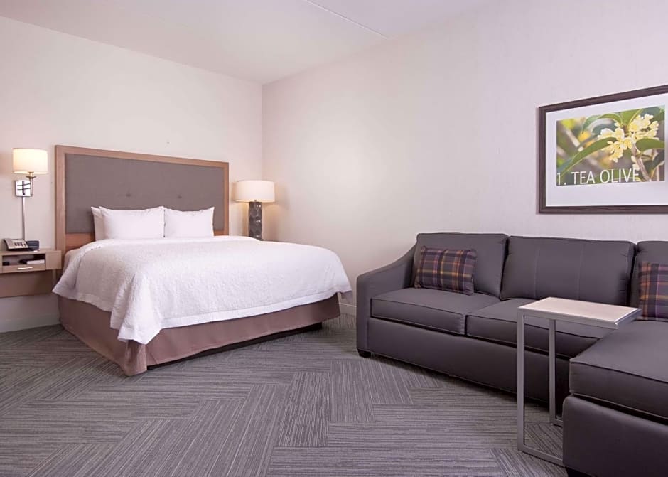 Hampton Inn & Suites by Hilton Augusta-Washington Rd