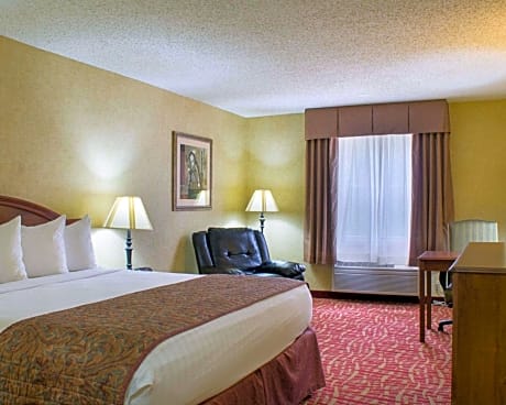 1 King Bed, Nonsmoking