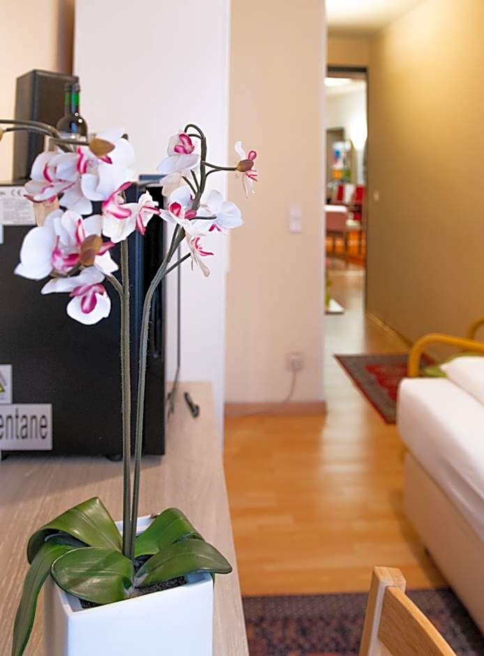 Pension Hotel Mariahilf