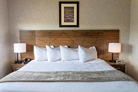 Junior Suite with Mountain View