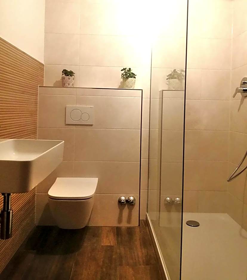 Pension Almhof Baumgarten