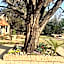 SILKEN TRAP GUEST HOUSE