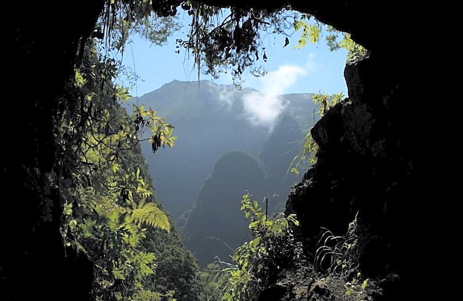 Madeira Bright Star by Petit Hotels