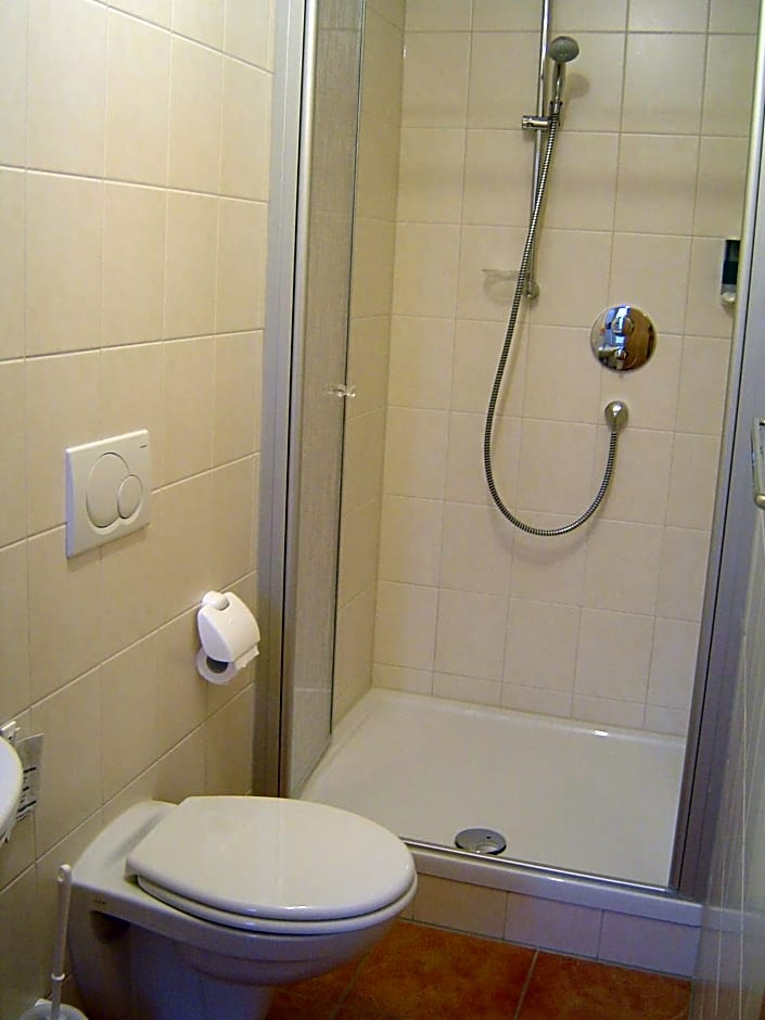Gasthof Hotel Traube
