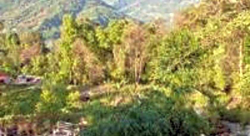 Hotel Bamboo Retreat