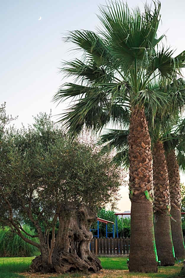 Village Inn Studios & Family Apartments