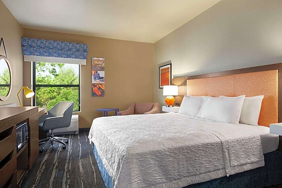 Photo 1 of 3 of 1 King Bed, Hearing/Mobility Accessible, Roll in Shower