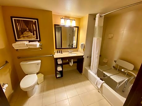 1 King Bed Suite Nonsmoking