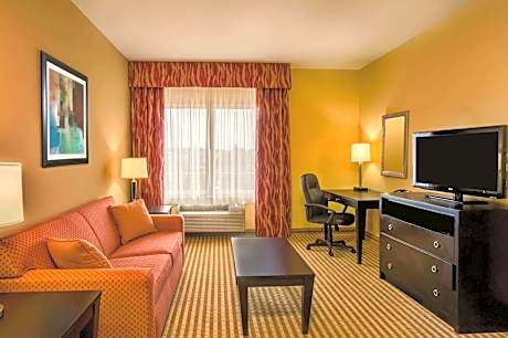 One-Bedroom King Suite - Non-Smoking