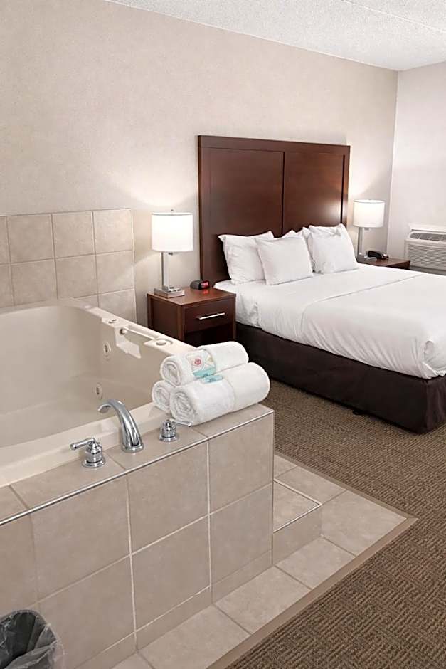Comfort Inn  Farmington Hills - Detroit Northwest