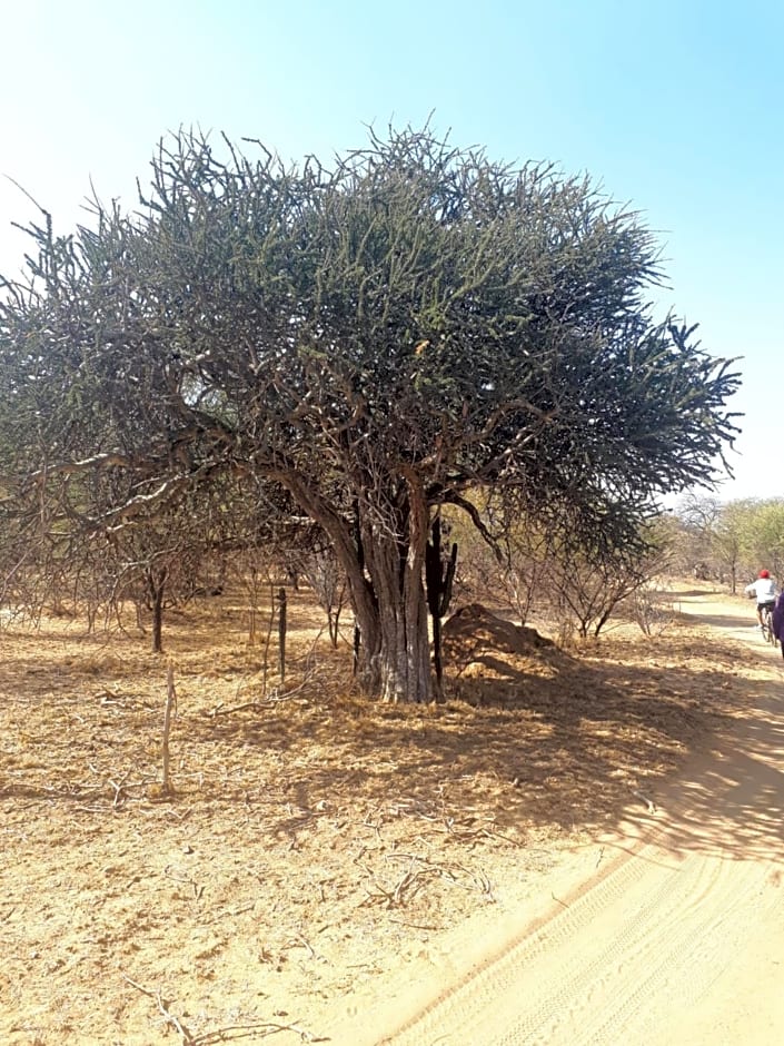 KweKwe Private Game Lodge