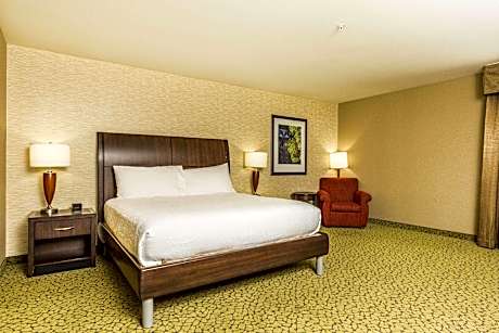 1 King Mobility Accessible W/Bathtub