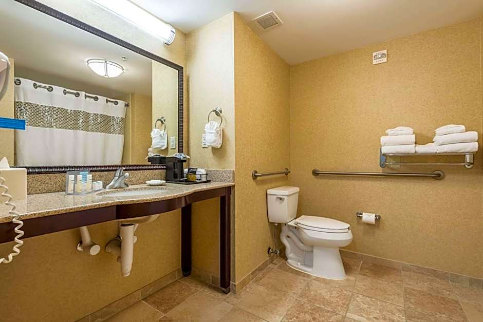 Hampton Inn By Hilton & Suites Orlando-South Lake Buena Vista