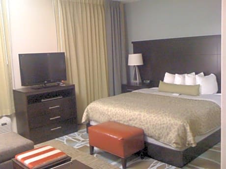 Studio Suite