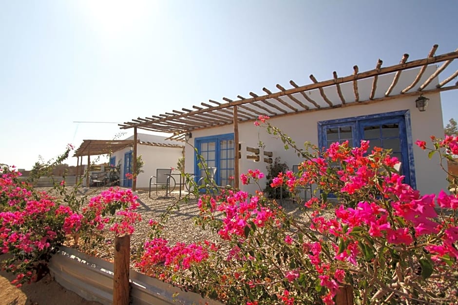Santerra, Valle de Guadalupe