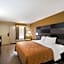 Quality Inn Johnson City