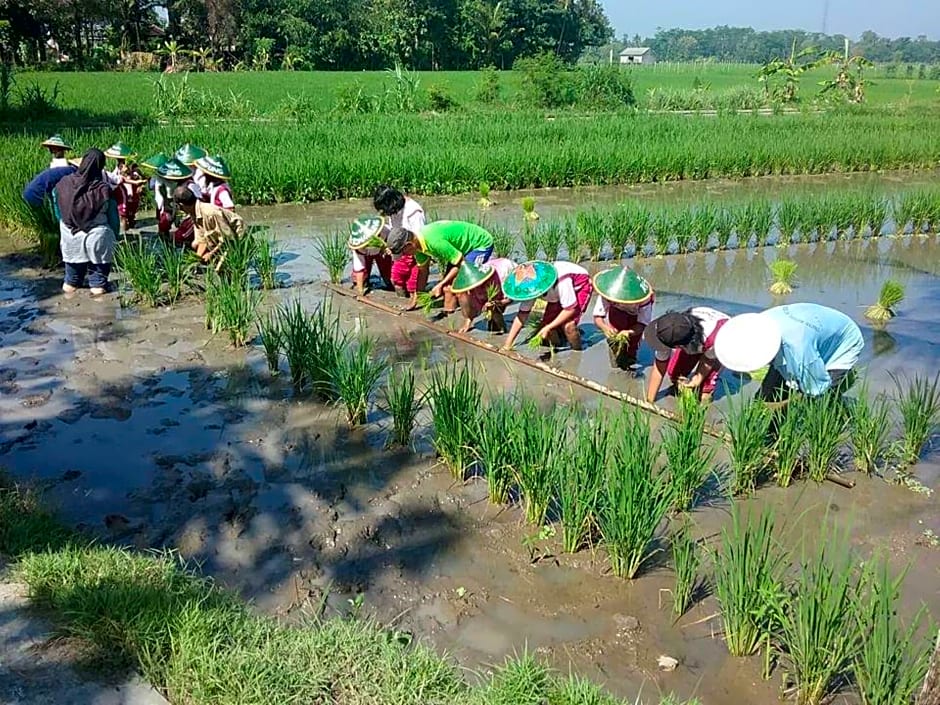 Sardi Homestay by ZUZU