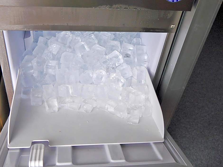 Station Business Hotel Tenshukaku