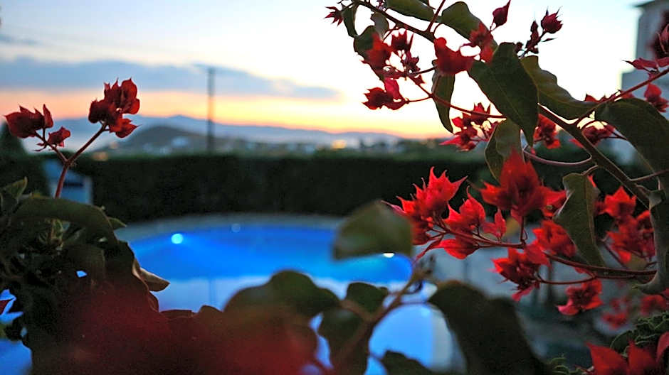 Proteas Hotel & Suites