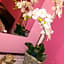 B&B San Vitale