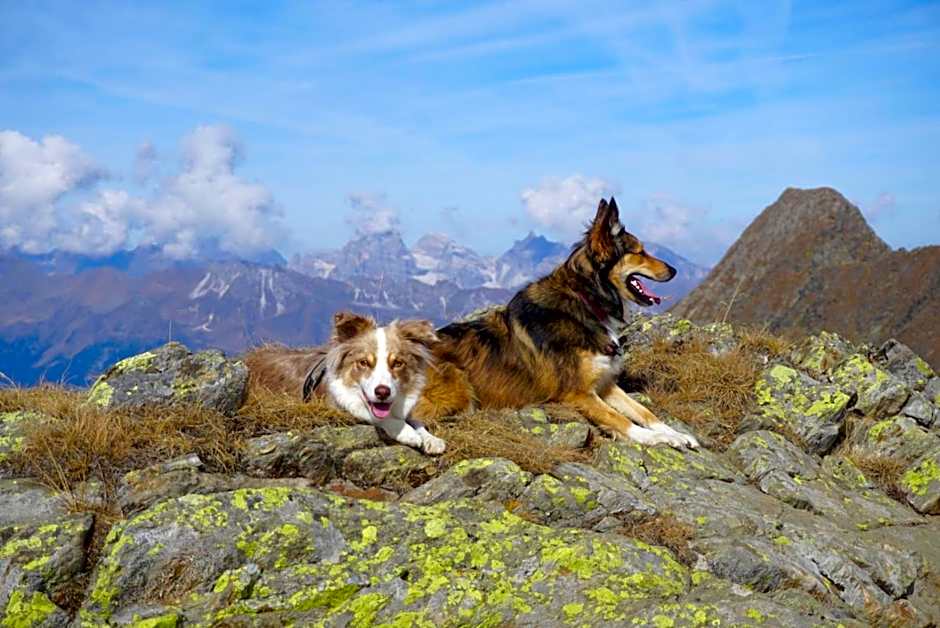 Historic Guesthouse BIRCHER B&B Apartments near Sterzing