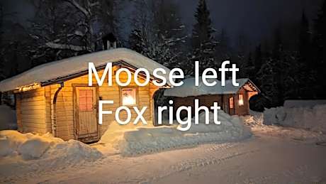 Lapland Snow Moose