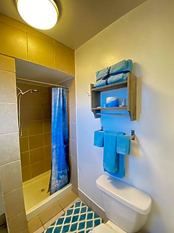 Standard One King Room