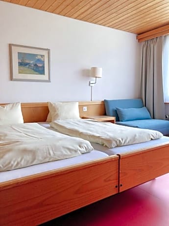 Comfort Double Room with Mountain View