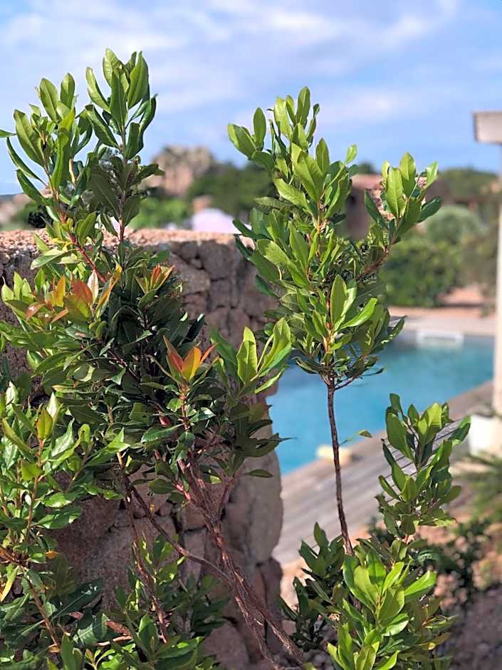 Hotel Les Chambres de Mila Bonifacio