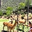 Old Mill Lodge, Seasonal Working Ostrich Farm & Restaurant, Oudtshoorn