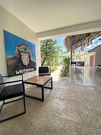 Wild Monkeys Hostel
