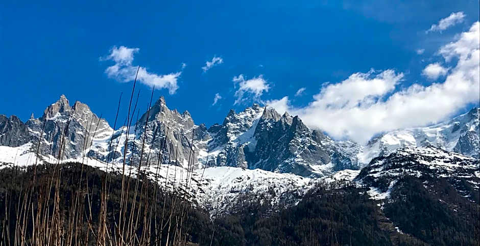 Appart'Hotel Aiguille Verte & Spa