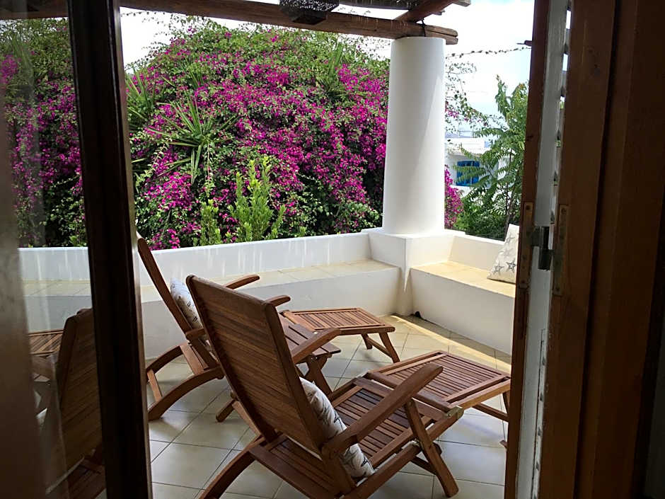 Hotel O Palmo