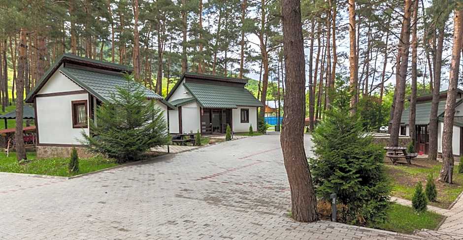 Complex Parc Pini Moinesti