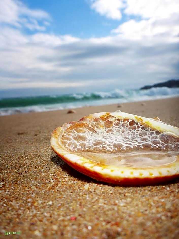 Albufeira Beach Hotel by Kavia