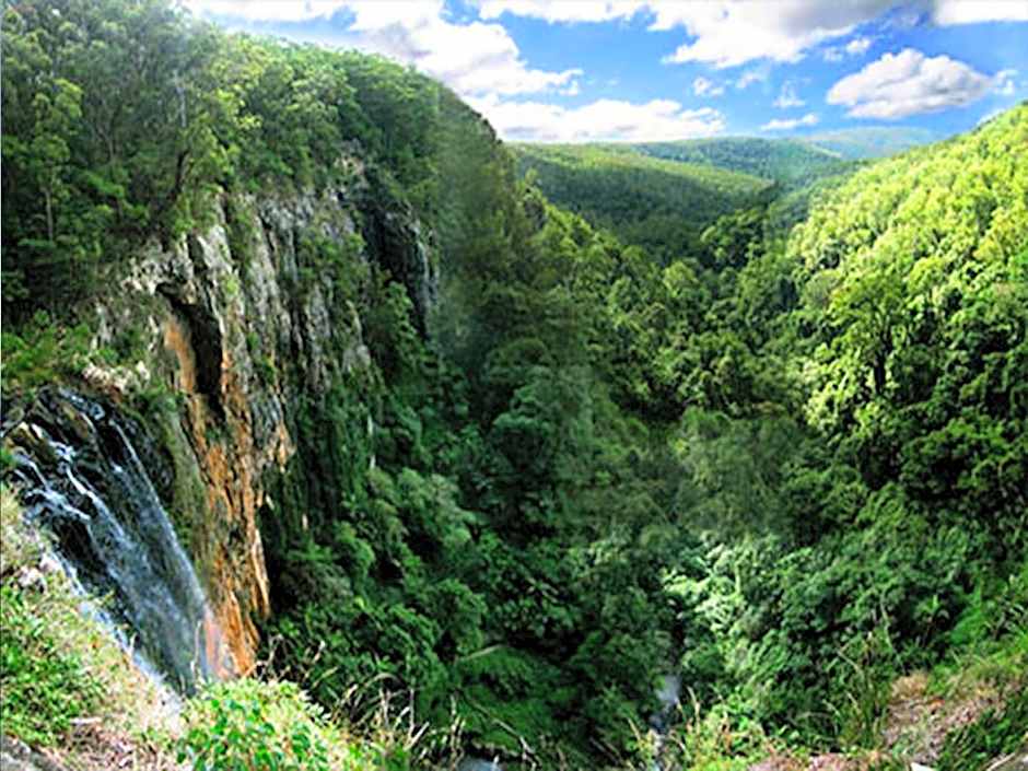 The Mouses House Rainforest Retreat